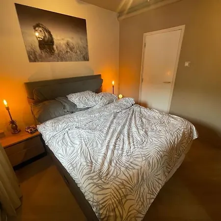アパート Luxe Bij Zuidas Met Tuin En Buitendouche アムステルダム